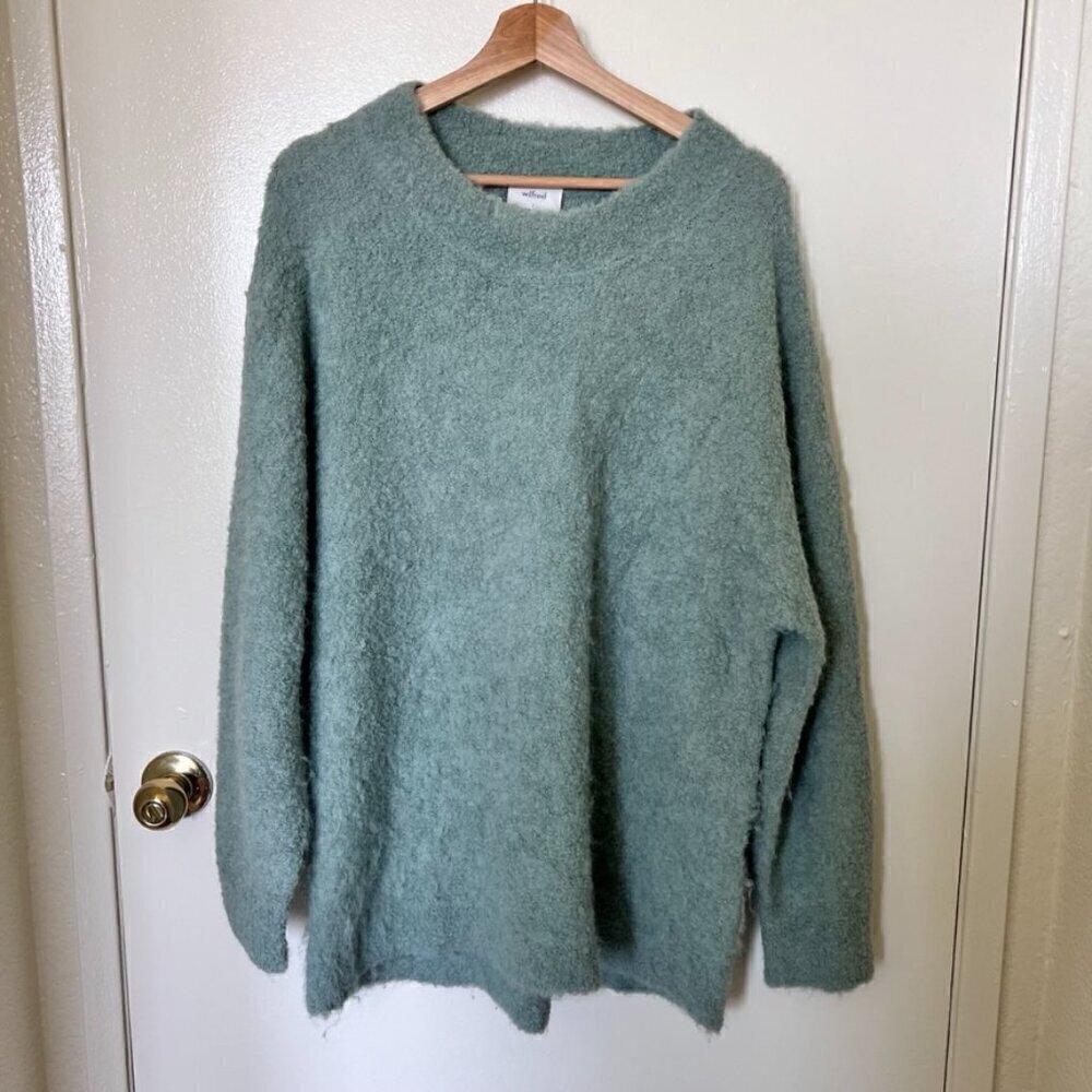 Aritzia Wilfred Sessia Mint Green Alpaca Blend Oversized Fuzzy Crew Neck Sweater